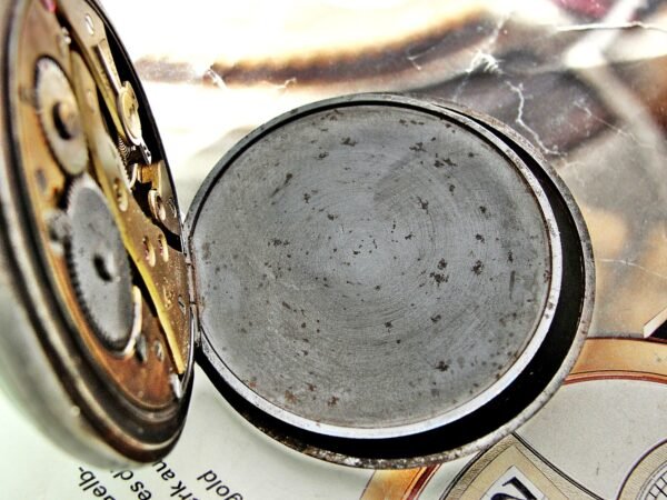 Rare Swiss Alpina iron case pocket watch from the 1920s. - Image 12