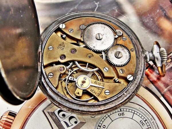Rare Swiss Alpina iron case pocket watch from the 1920s. - Image 15