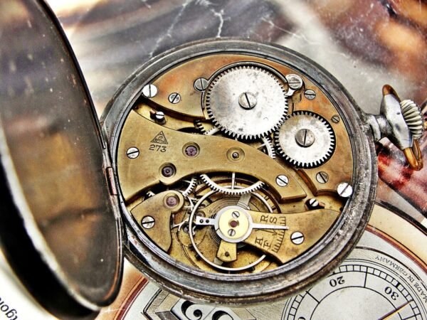 Rare Swiss Alpina iron case pocket watch from the 1920s. - Image 18