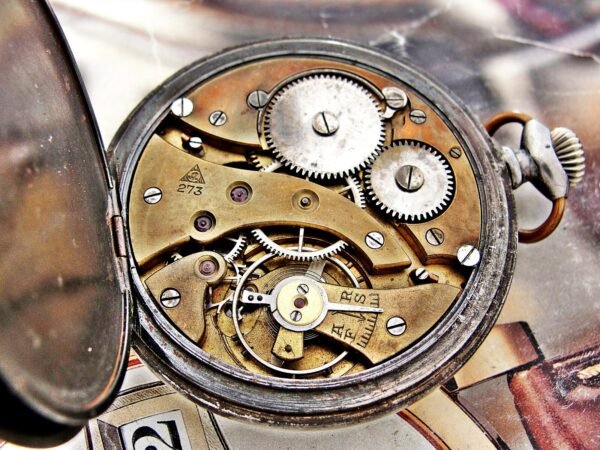 Rare Swiss Alpina iron case pocket watch from the 1920s. - Image 19