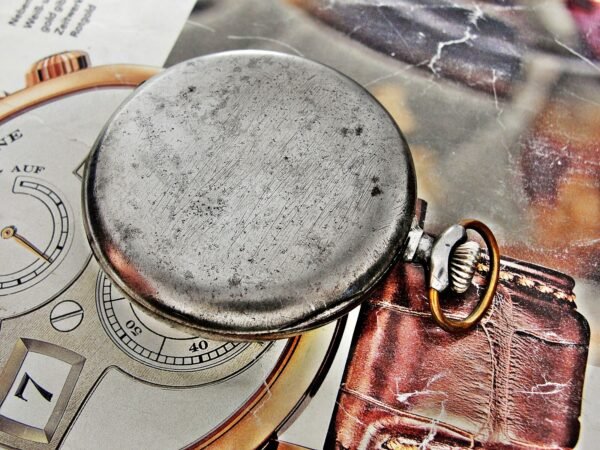 Rare Swiss Alpina iron case pocket watch from the 1920s. - Image 9