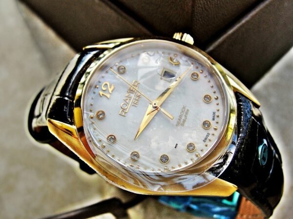 Two Swiss Roamer watches with box and paper. - Image 11