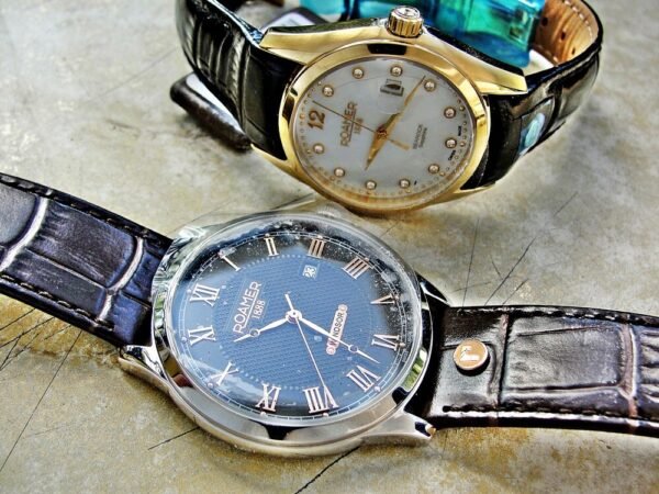Two Swiss Roamer watches with box and paper.